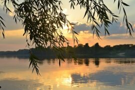 欧阳修《采桑子·群芳过后西湖好》全文及鉴赏