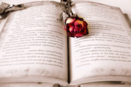 凡是令我倾心的书，都分辨不清是我在理解它呢还是它在理解我