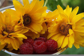 人们总是期望获得顺境带来的好处