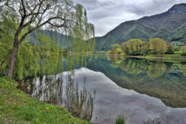 辛弃疾《定风波·山路风来草木香》全文及鉴赏