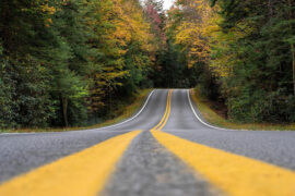 刚强的近义词有哪些？