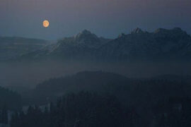 秦观《好事近·梦中作》全文及鉴赏