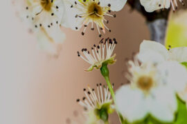 义正词严是褒义词吗？