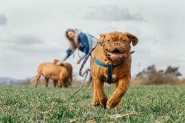 LBI利比《小城夏天》歌词及评论赏析