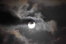 苏轼《水调歌头·明月几时有》全文鉴赏及点评