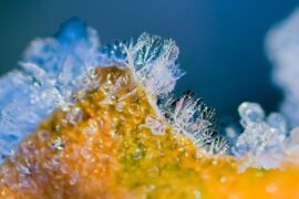 覆盖的近义词有哪些？