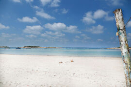 鼠目寸光是贬义词吗？