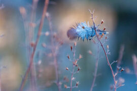 两面三刀是贬义词吗？