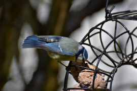 一箭双雕是褒义词吗？