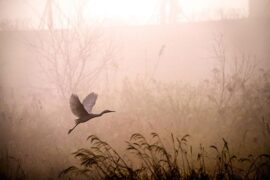 当命运需要你们去逆风飞翔的时候，就不能随风而去