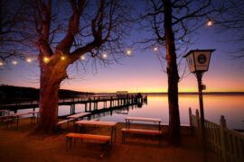 许茹芸《现在该怎么好》歌词及评论赏析