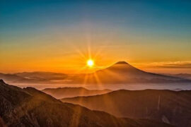 奋斗的近义词有哪些？