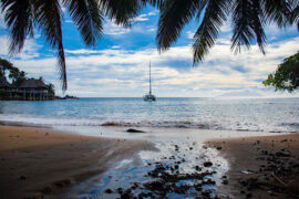 DP龙猪、Swei水、Rays陈袁《风吹一夏》歌词及评论赏析