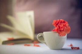 告五人《唯一》歌词及评论赏析