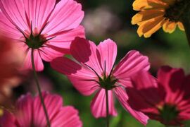 宽敞的反义词有哪些？