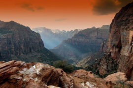 李清照《如梦令·昨夜雨疏风骤》全文及鉴赏