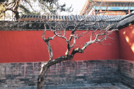 温庭筠《菩萨蛮·杏花含露团香雪》全文及鉴赏