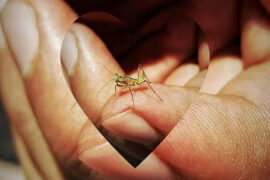 功德无量是褒义词吗？