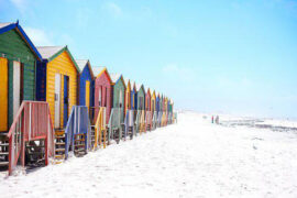 插画的近义词有哪些？