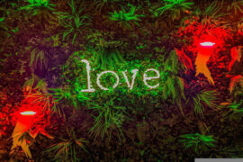 贺仙人《无法停止爱你》歌词及评论赏析