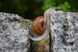 简短精炼的励志句子