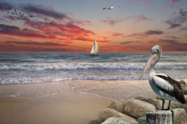 动荡的近义词有哪些？