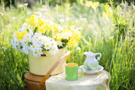 康宁的反义词有哪些？