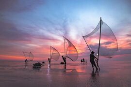 《纳瓦尔宝典》中的38条金句