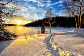 这辛酸的劳苦并非徒然，你们崇高的理想不会落空