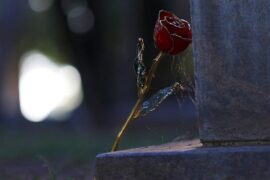 形容两个人疏远的句子