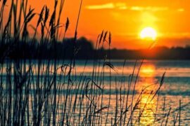 立夏诗词歌赋精选