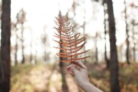 适合所有情绪的句子