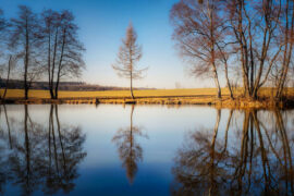 辛弃疾《定风波·席上送范廓之游建康》全文及鉴赏