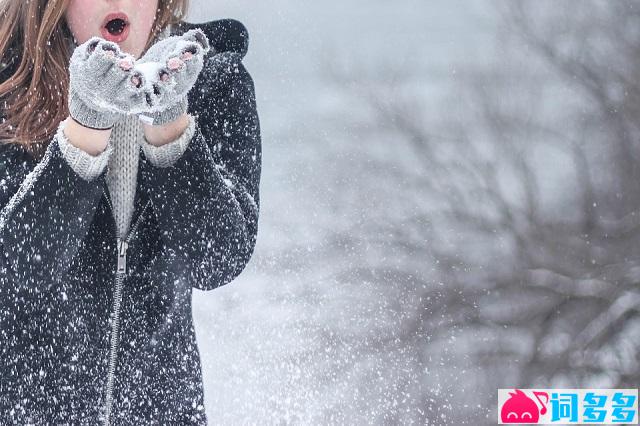 陆虎《雪落下的声音》歌词及评论赏析