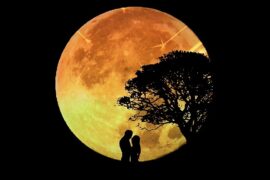 王心凌《月光》歌词及评论赏析