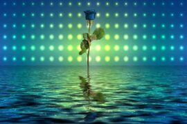 李健《水中花》(Live)歌词及评论赏析