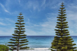 察言观色是褒义词吗？