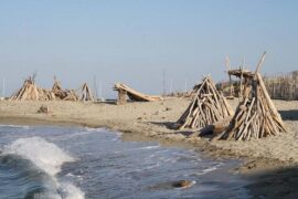 《鲁滨逊漂流记》好词好句精选