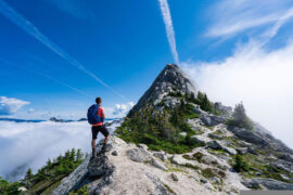 聪明人！抛弃你手里幻想的花罢