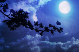 秦观《满庭芳·晓色云开》全文及鉴赏