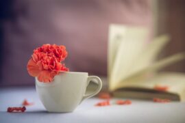 简单干净的说说