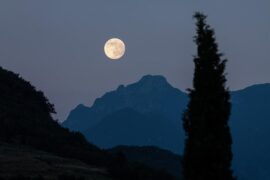 陆游《乌夜啼·纨扇婵娟素月》全文及鉴赏