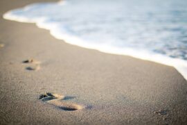 人之所以孤独，是因为不敢迈出第一步