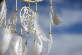 让年轻人在荆棘丛中留下一点羽毛，是有益于健康的