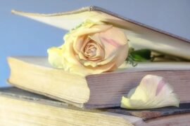 生命是一部饱含各种可能性和无边无沿美好成就的长篇小说