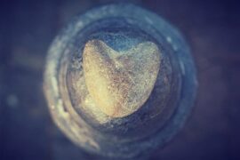 万妮达《MoJiaDai 莫加戴》歌词及评论赏析