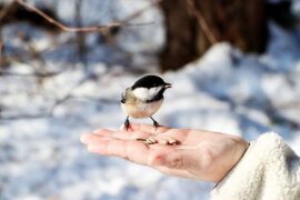 梁龙、王赫野《快来嘛》(Live)歌词及评论赏析