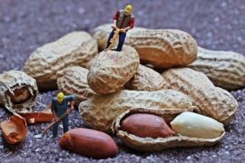 当你的欢乐和悲哀变大的时候，世界就变小了