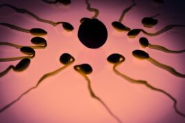 路过我们生命的每个人，都参与了我们，并最终构成了我们本身