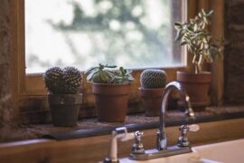 表达想家的经典句子